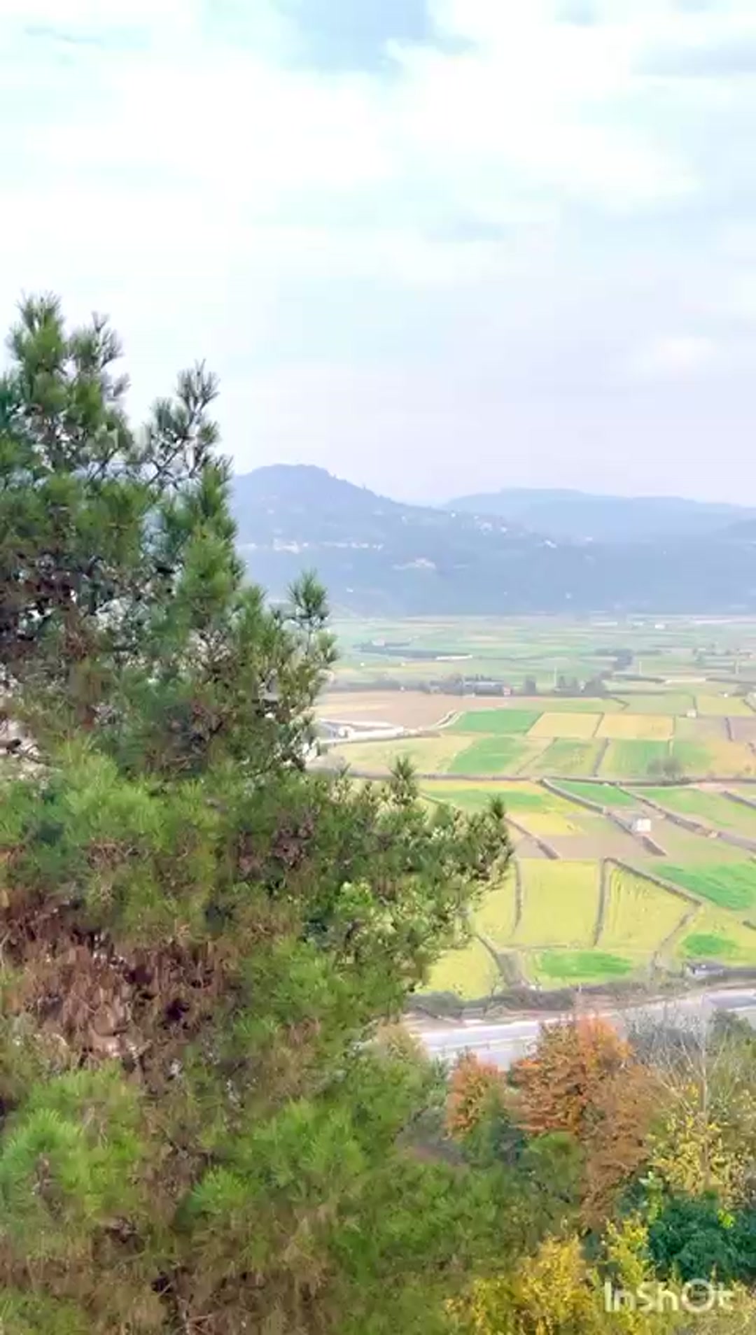 فروش زمین مسکونی 400 متر در کلیجان رستاق سنگبن سلیم شیخ