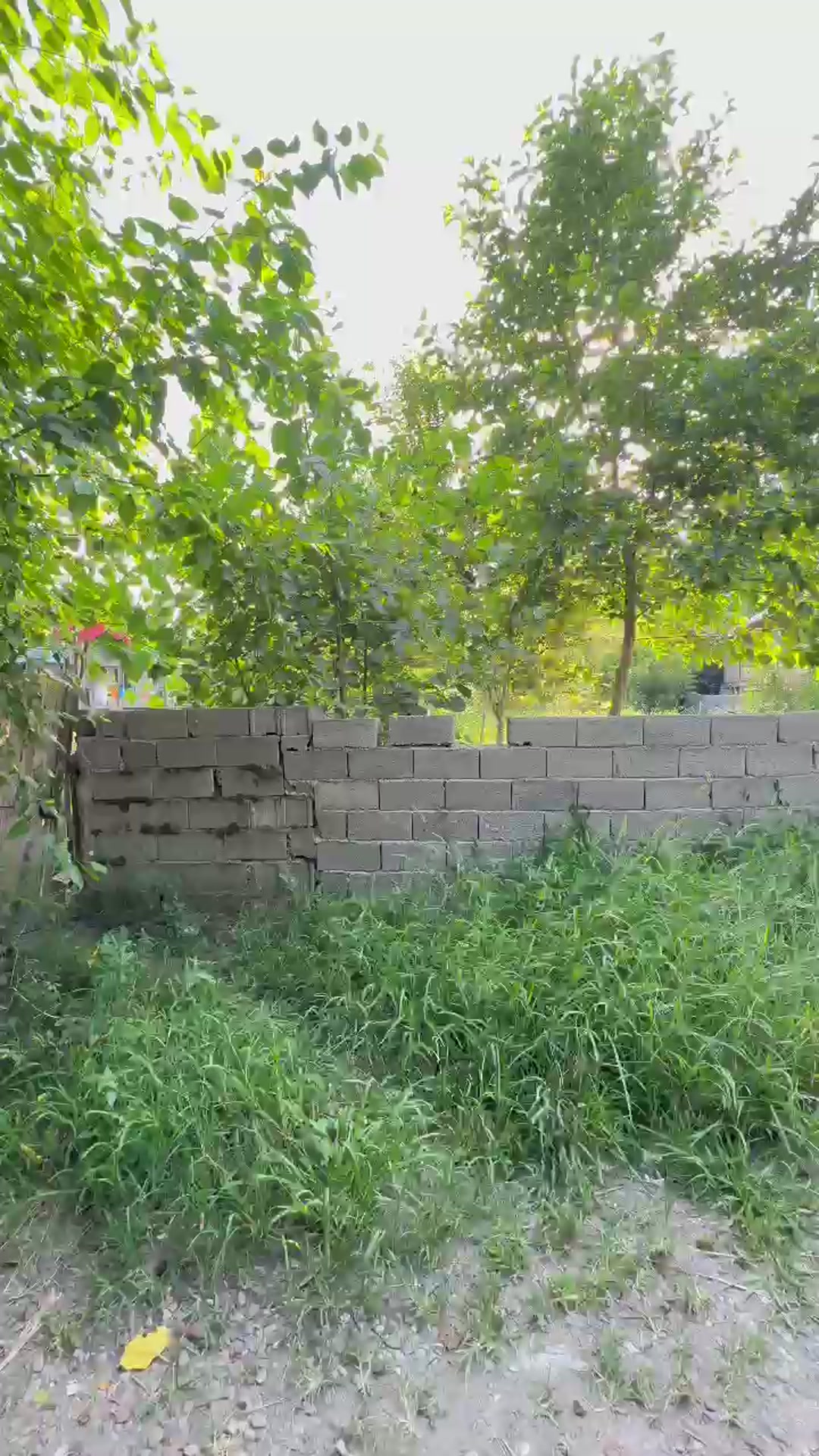 فروش و تهاتر زمین مسکونی 651 متر در لسکوکلایه در شیپور