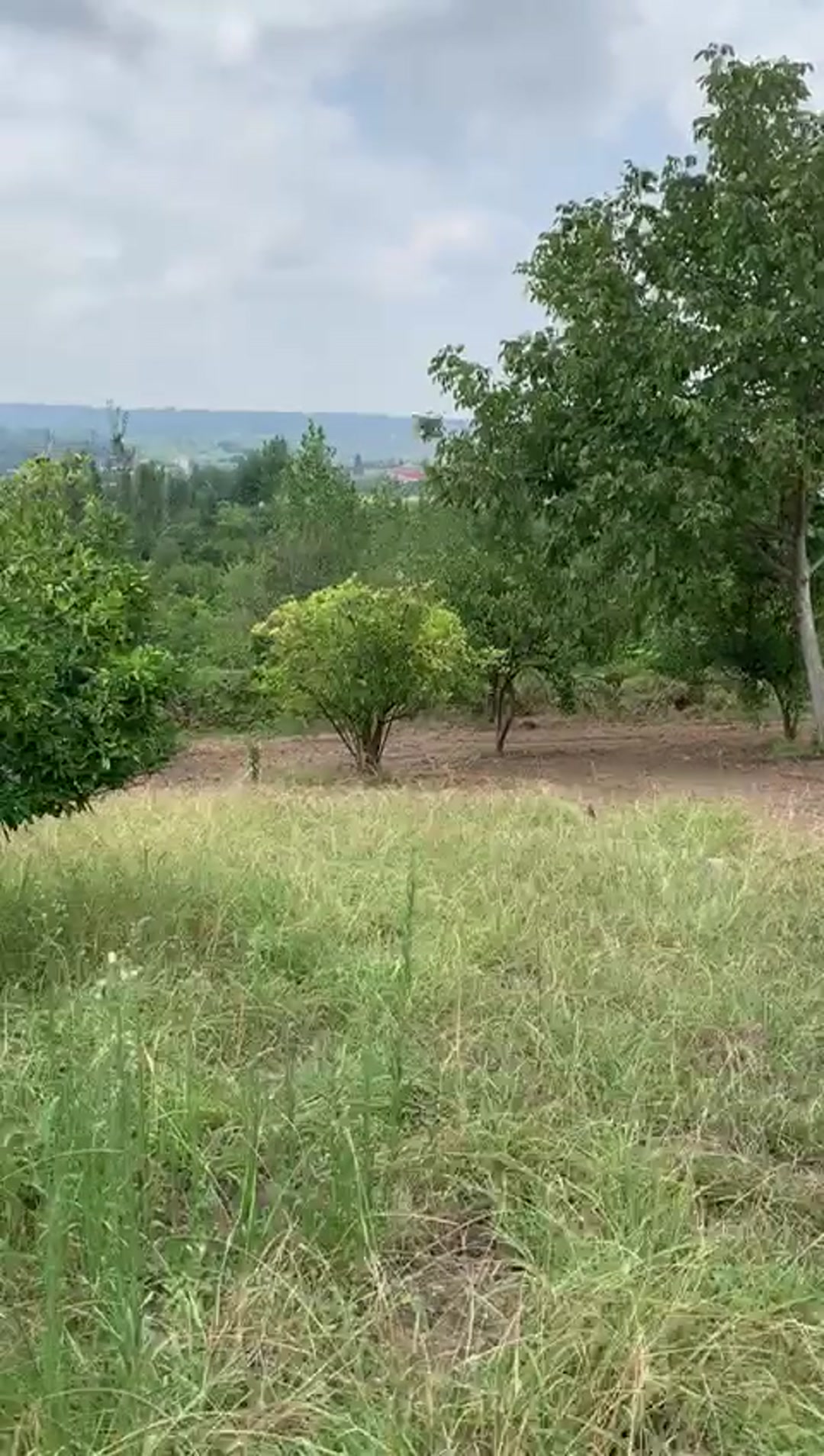 فروش زمین مسکونی 600 متر با چشم انداز و ویو عالی در شهرودکلا