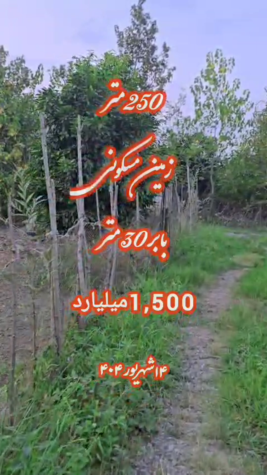 فروش زمین مسکونی 250 متر در گلرودبار