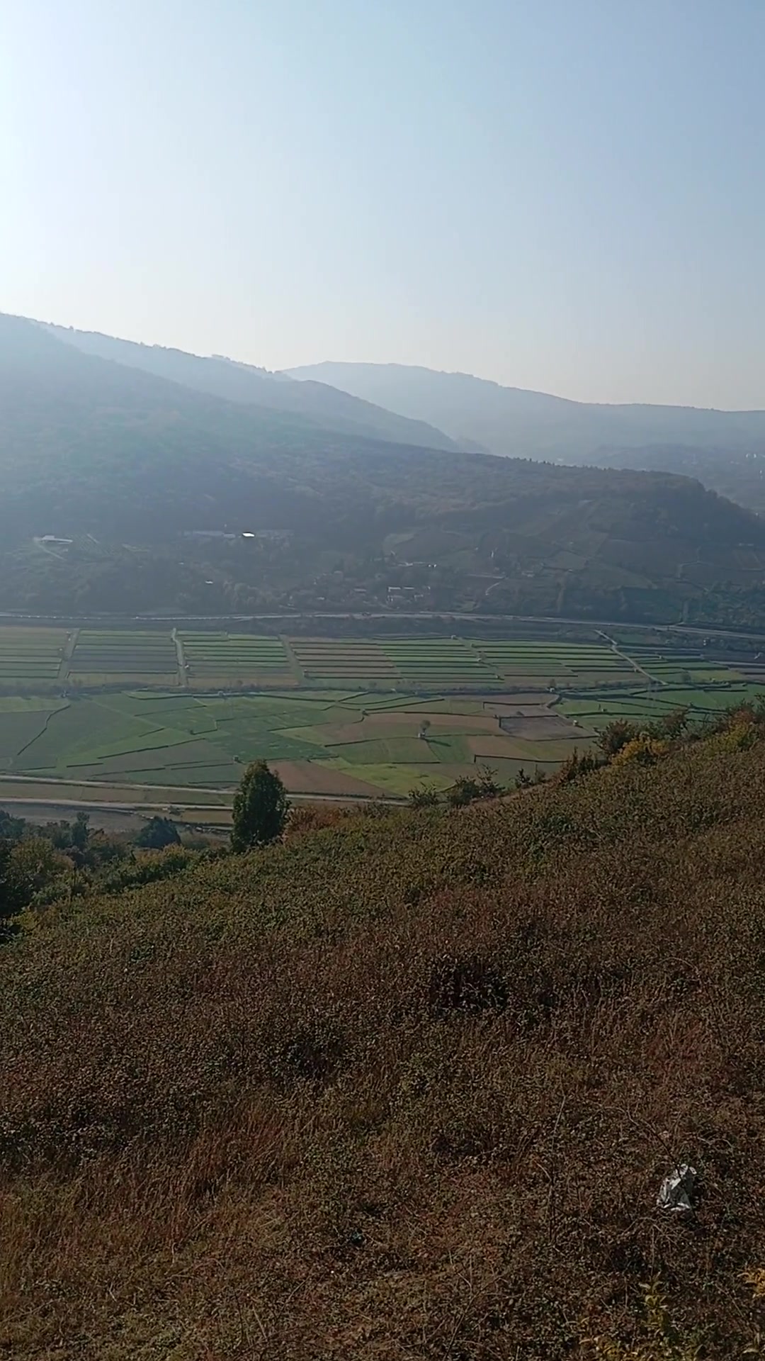 فروش زمین مسکونی 400 متر در سرکت