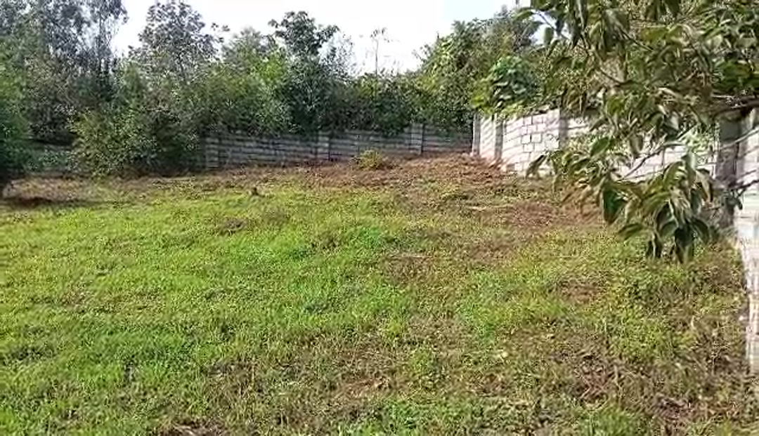 فروش زمین مسکونی 388 متر در سلیم آباد در شیپور