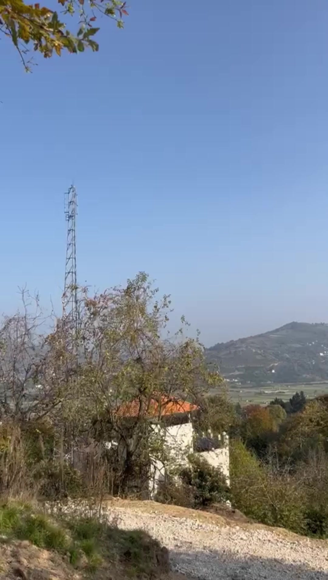 زمین مسکونی 800 متری در کلیجان رستاق
