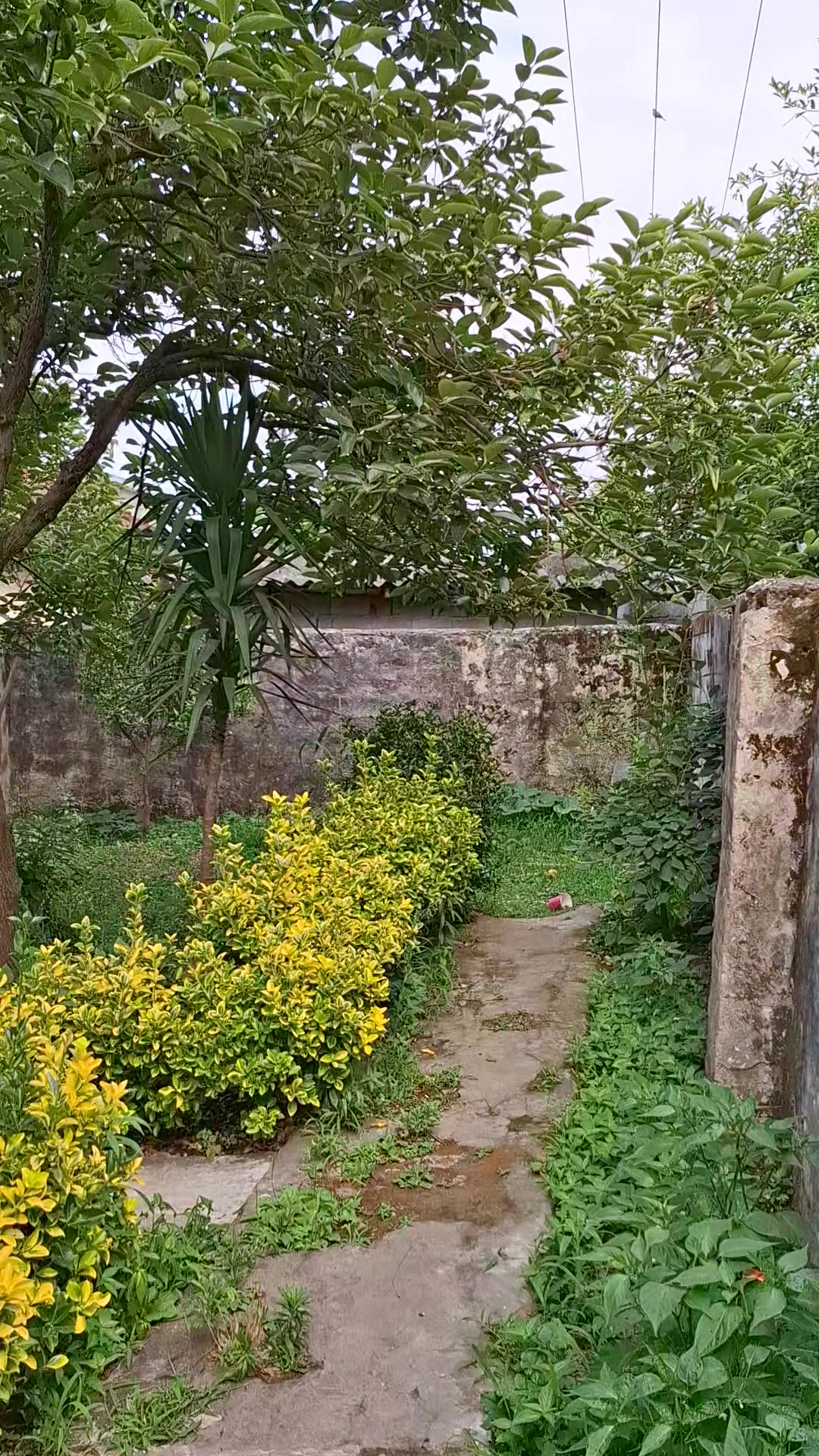 فروش خونه ویلایی قدیمی ساحل طلایی رسولیان در شیپور