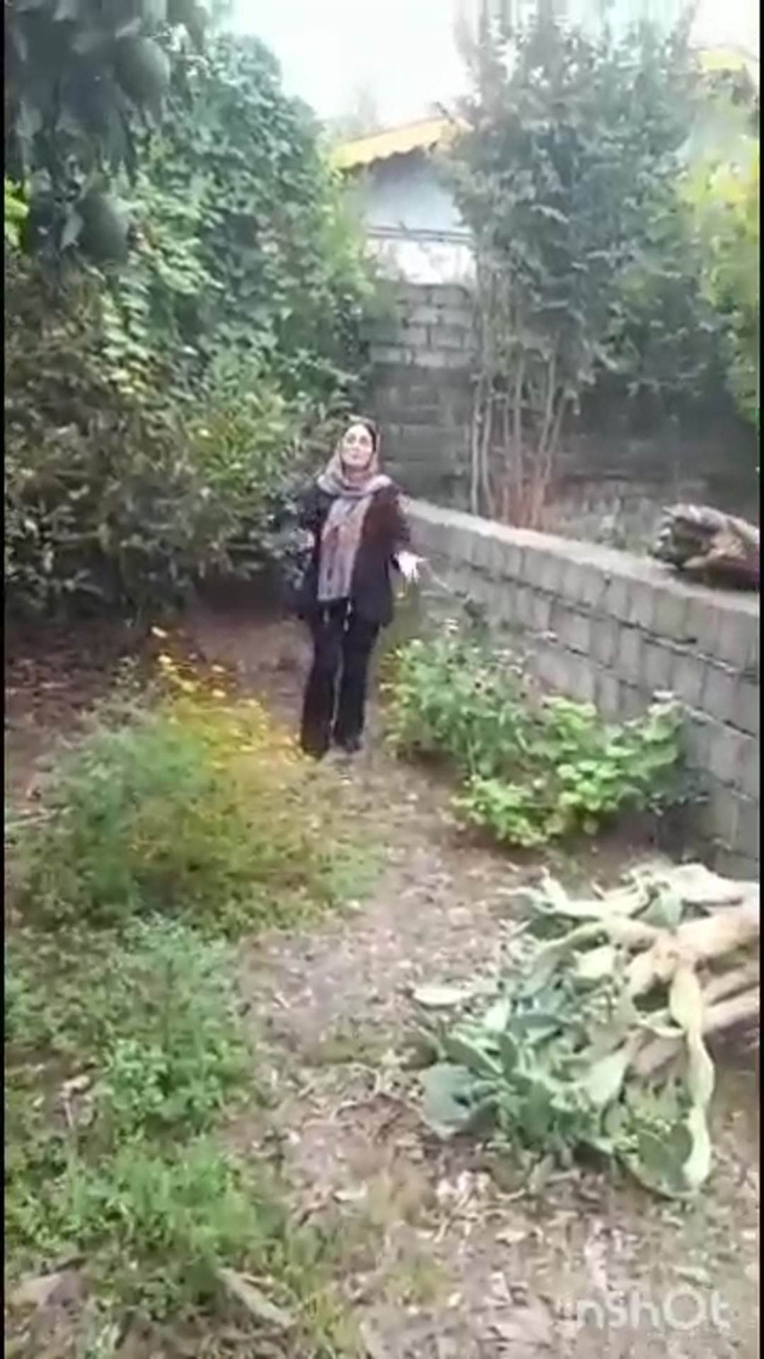 فروش زمین مسکونی 220 متر در چلک در شیپور