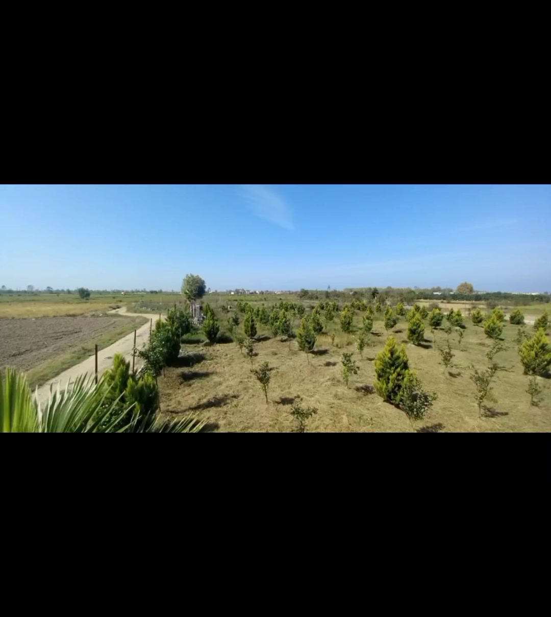 زمین128متر با سند و شرایط اقساط،مالک هستیم در شیپور