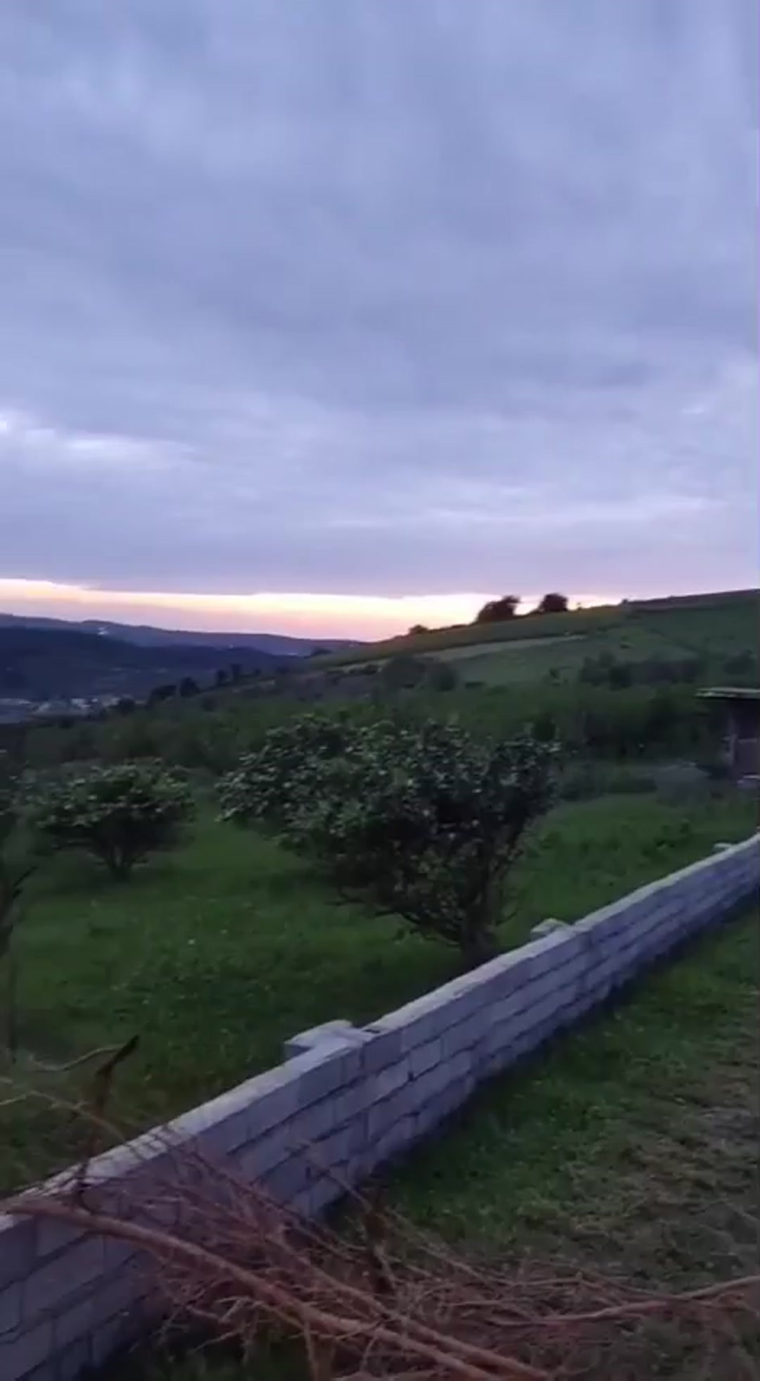 فروش زمین کشاورزی 1600 متر در تنگ لته