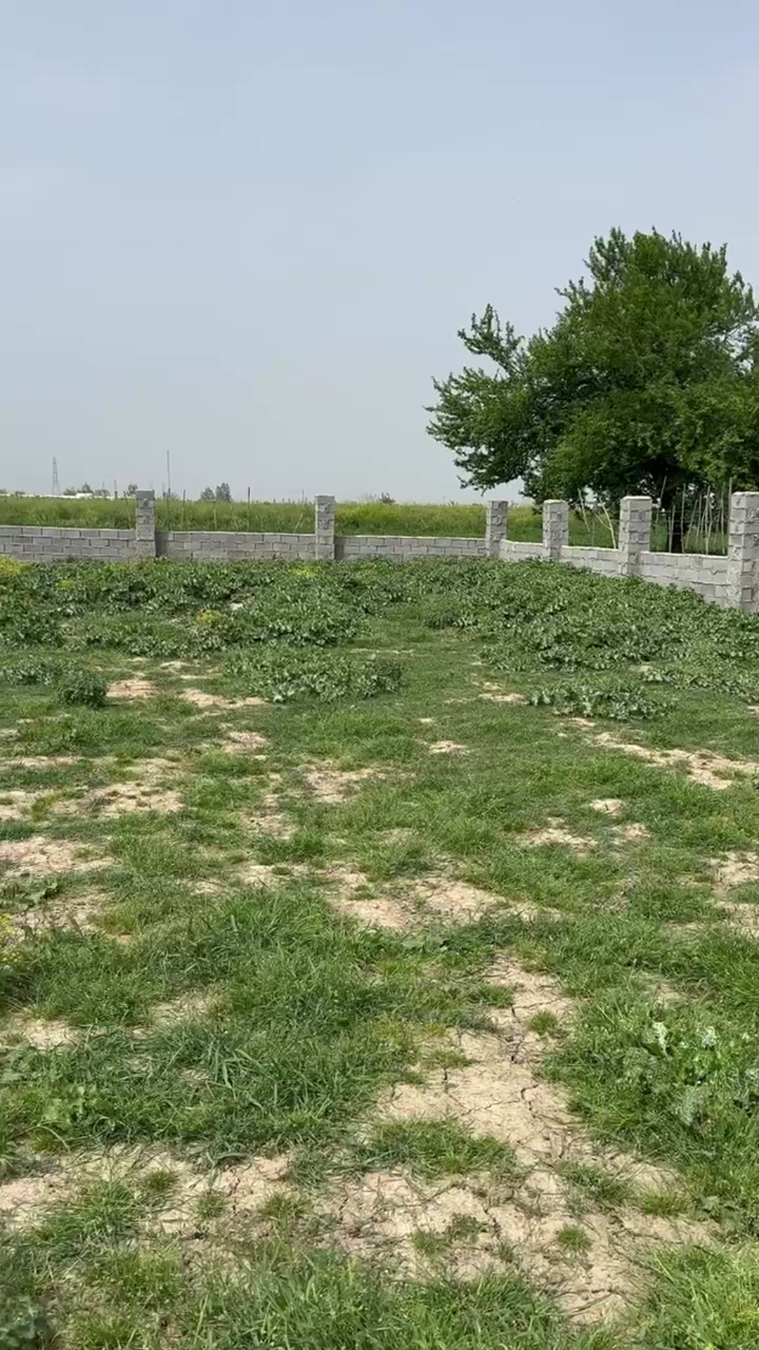 730 متر زمین مناسب گاراژوکارگاه در شیپور