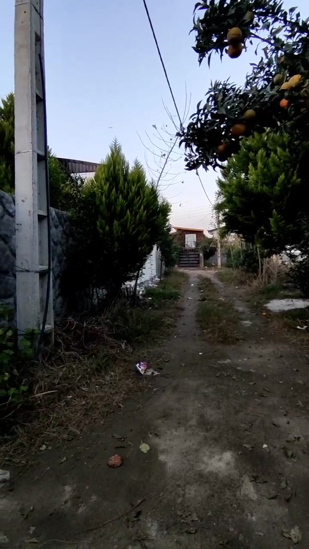 اجاره ویلا 300 متری با استخر بزرگ داخل /سرخرود