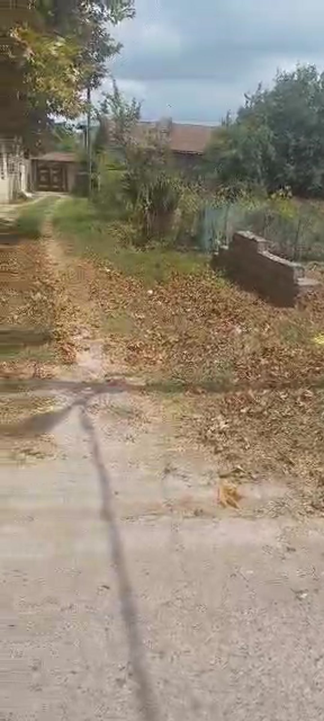   زمین مسکونی 222 متر دو بر سند دار استانه بر زنده دل در شیپور