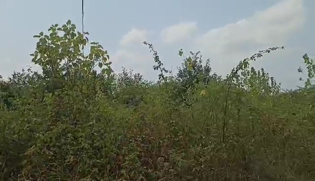 فروش ویلا 30000 متر در چهارده در شیپور