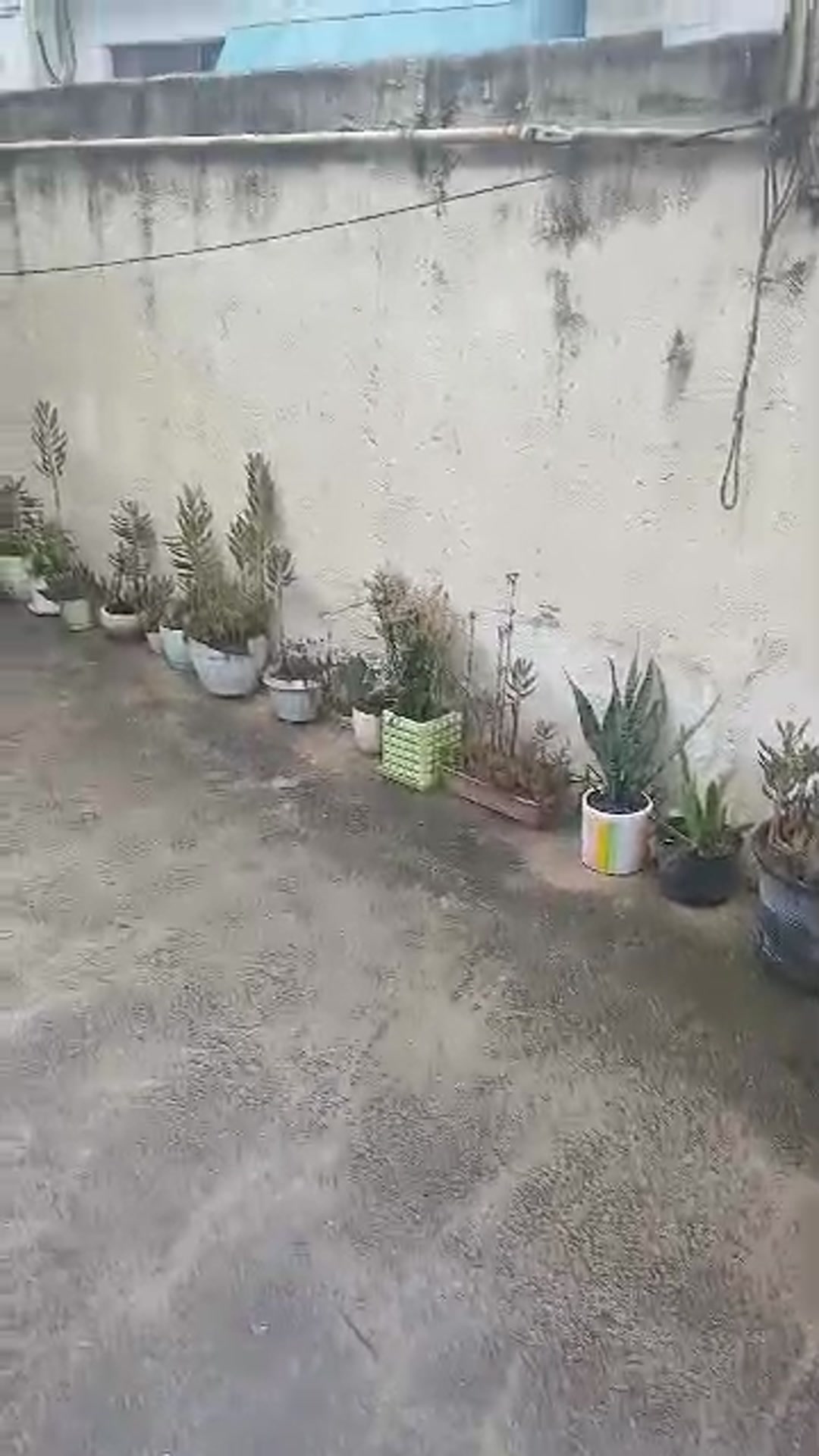 فروش خانه و کلنگی 195 متر در بلوار ولایت در شیپور