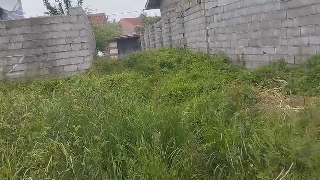 فروش زمین مسکونی 459 متر درمنطقه چمنستان شلمان