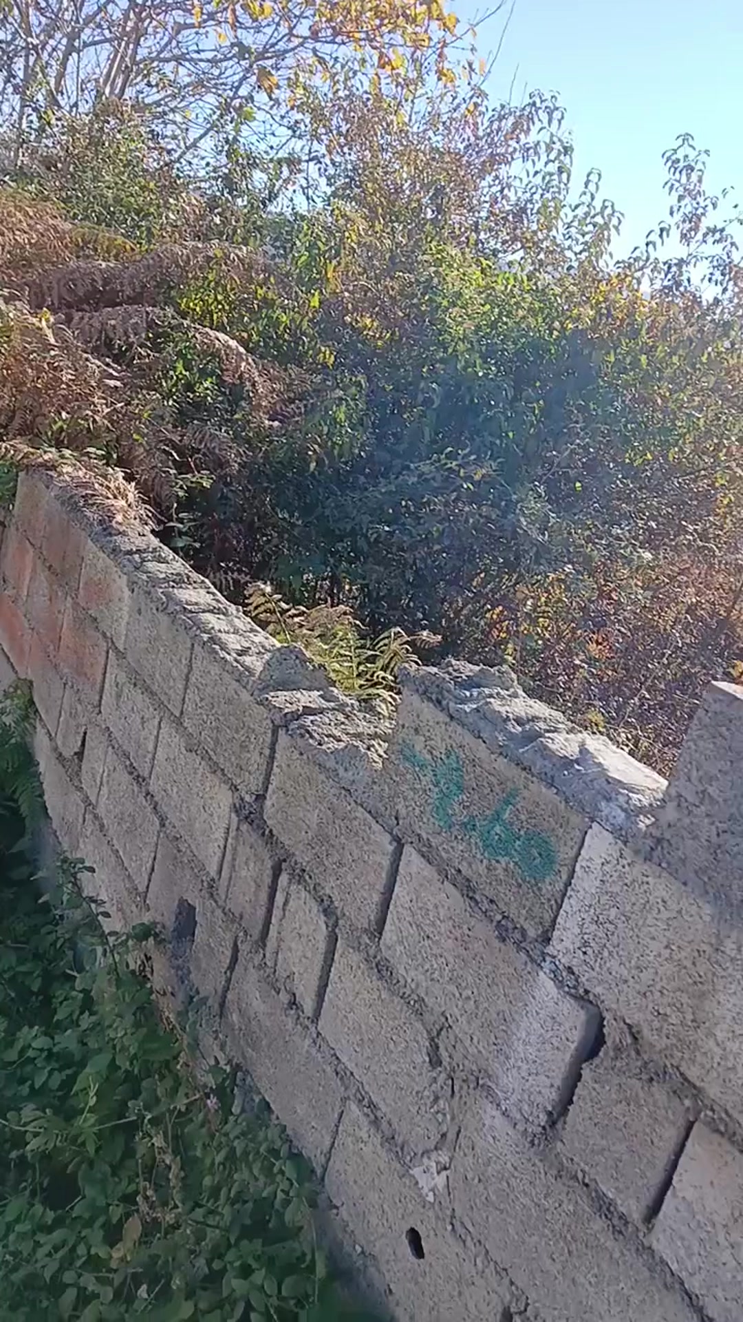 فروش زمین مسکونی 1700مترباویوبینظیرساری بالاهولار