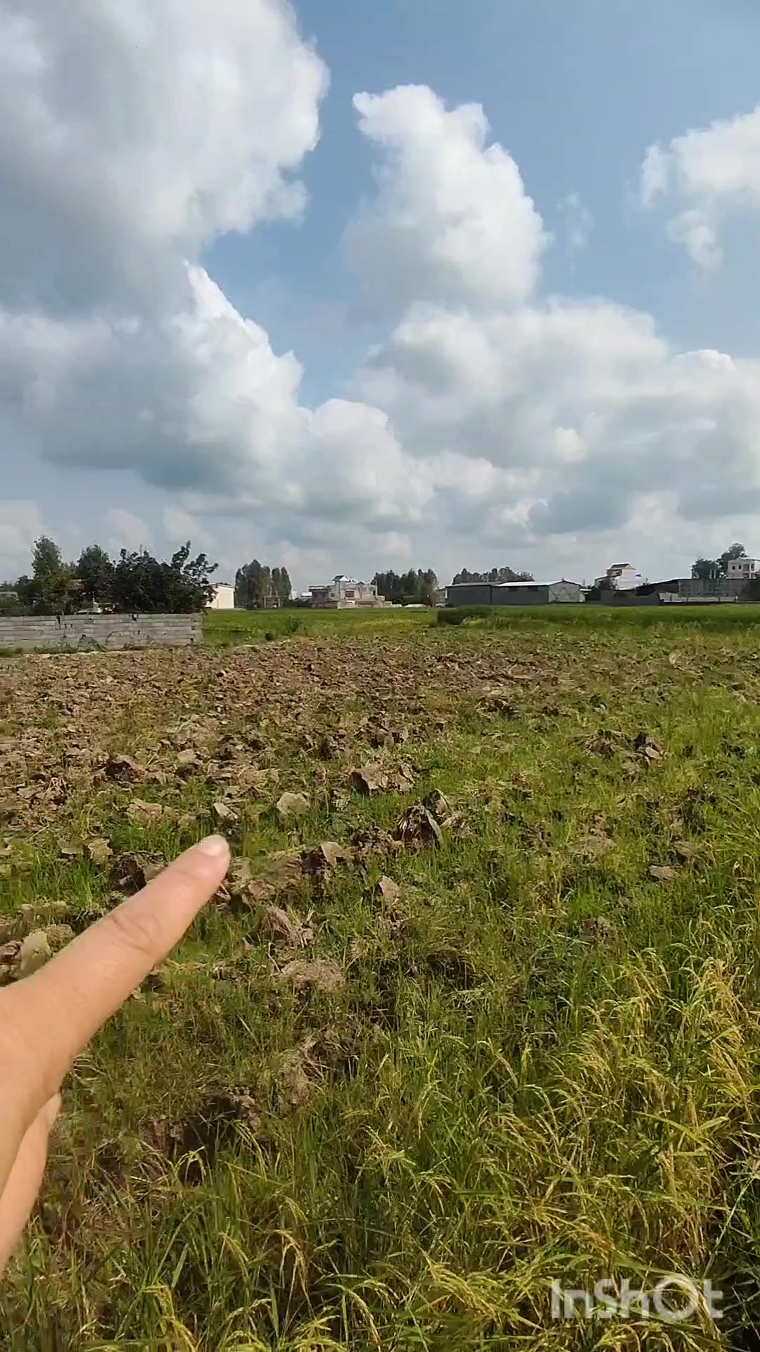 زمین چسبیده به بافت جاده آمل به سرخرود