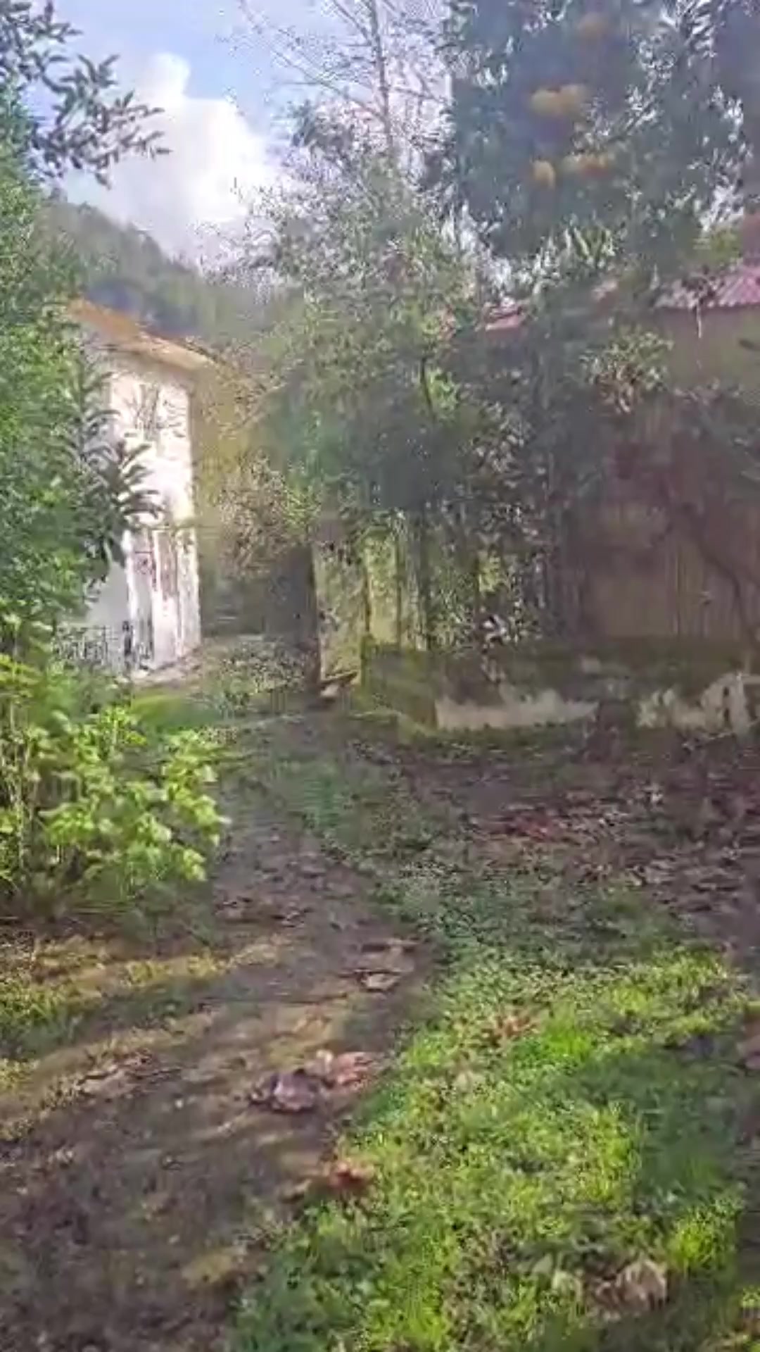 285 متری/دوبلکس/دل جنگل/شهرکی/سند تک برگ در شیپور