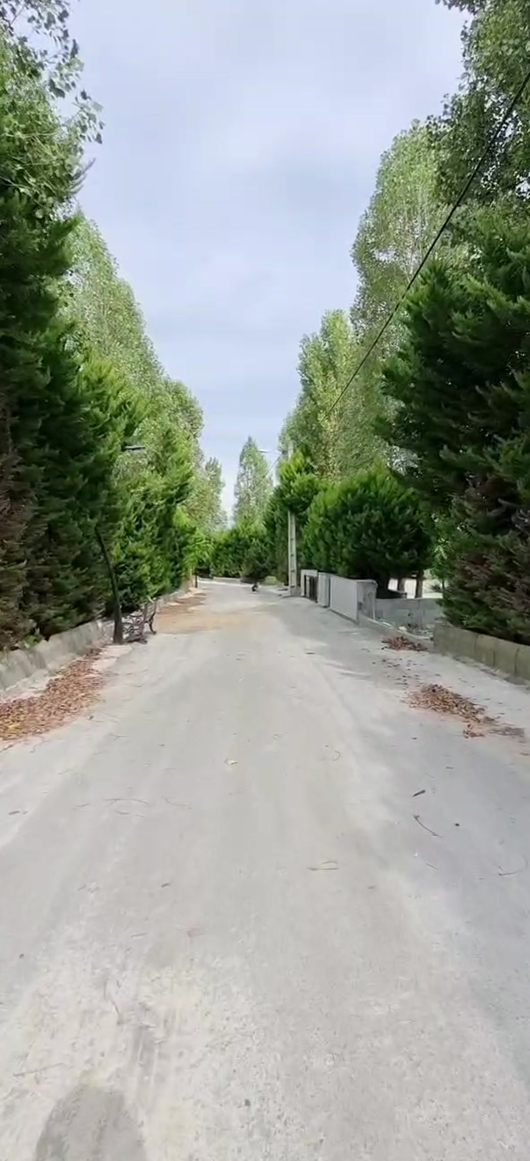 فروش زمین مسکونی رویان و نوشهر 250متر