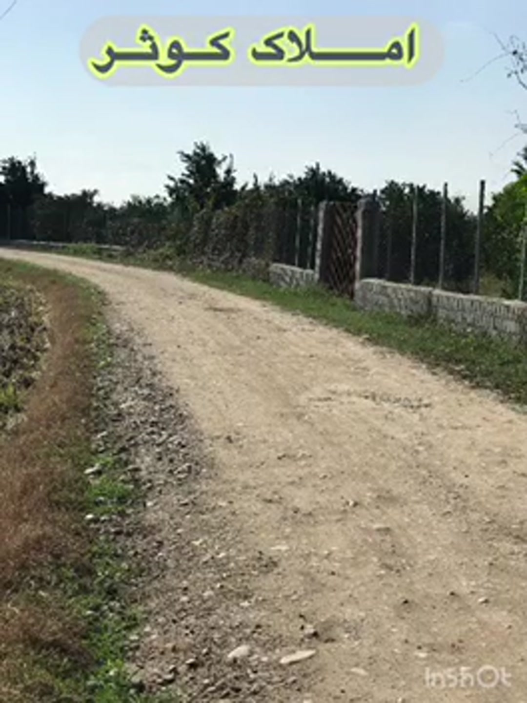 فروش زمین باغی 5200 متر در جاده کیاکلا در شیپور