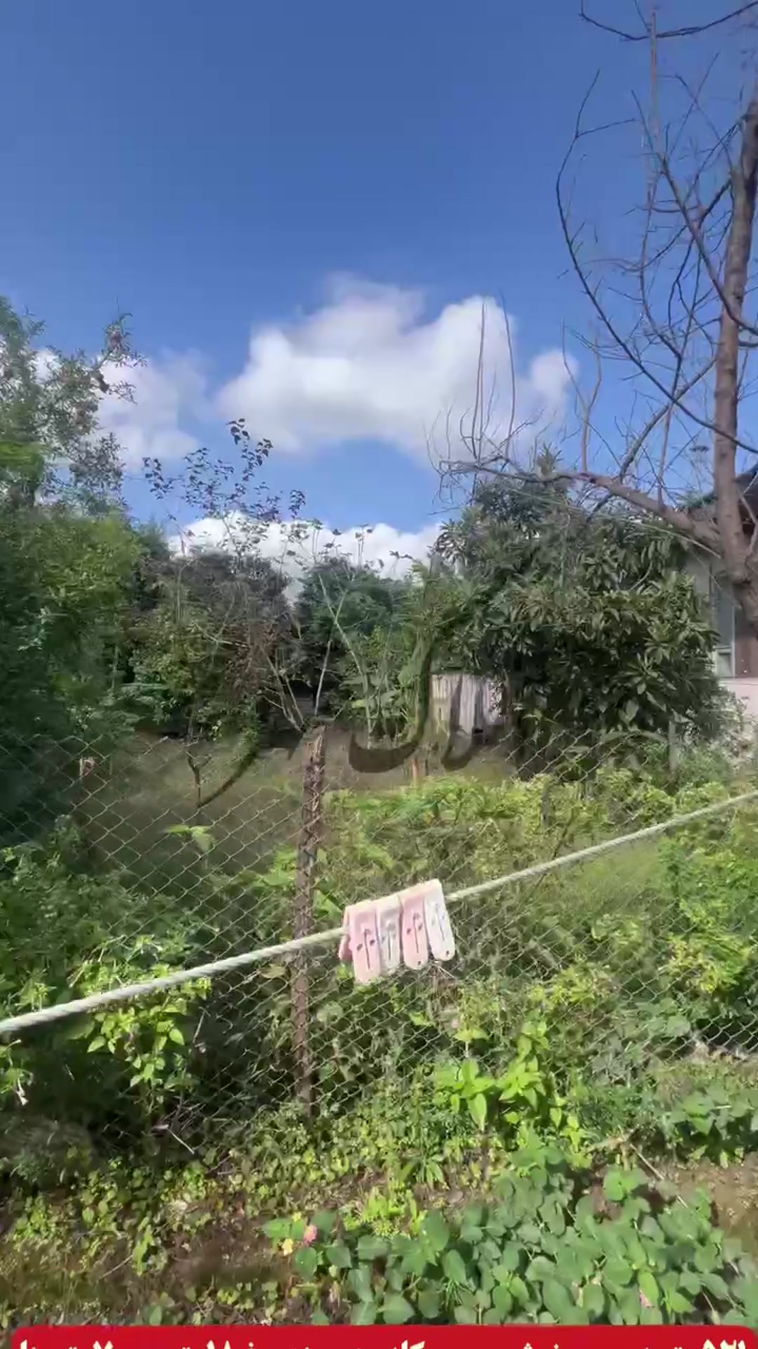 فروش ویلا 521 متر در مرکز شهر کومله در شیپور