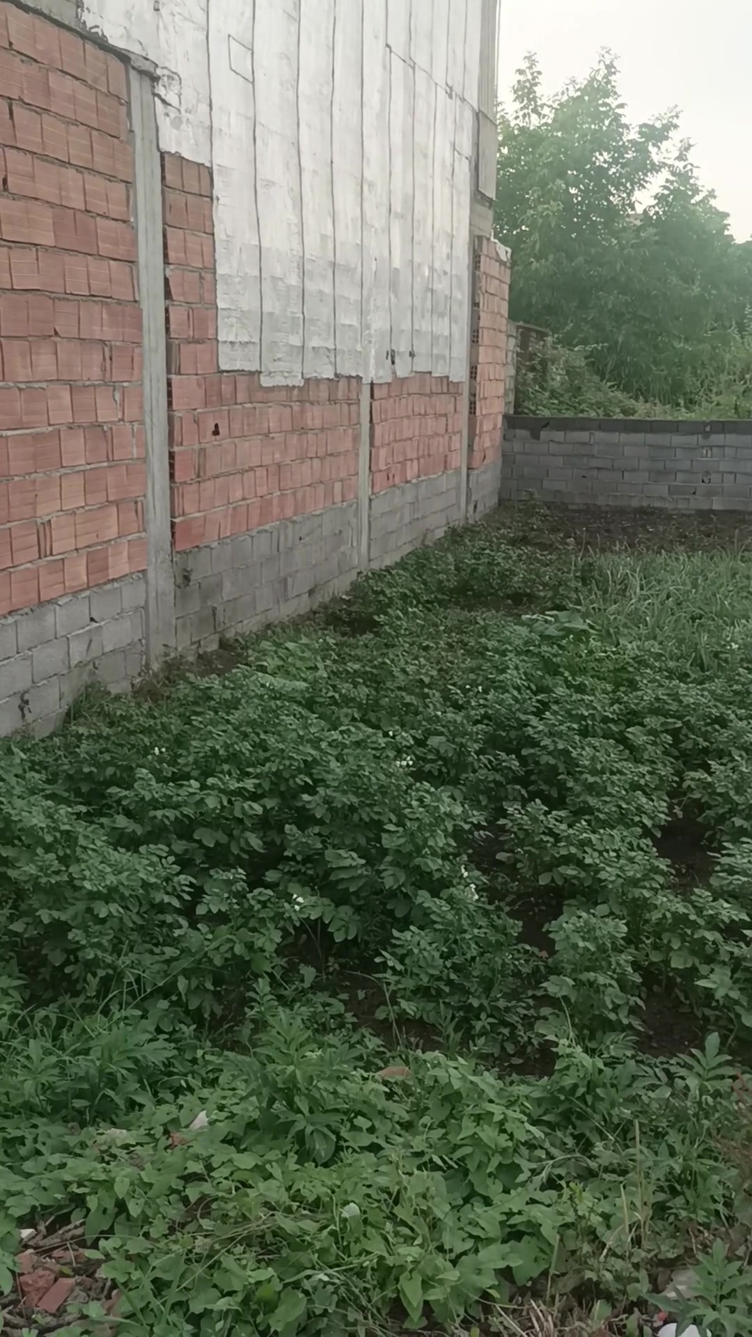 فروش زمین مسکونی 194متر در بلوار پاسداران کوی شهید قربانی