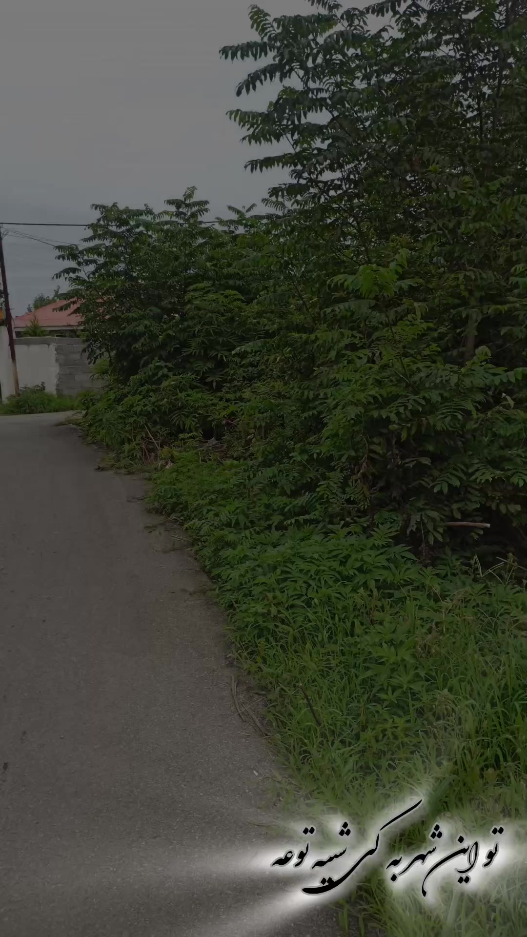 فروش زمین مسکونی 505 متر در هادی کیاشهر در شیپور