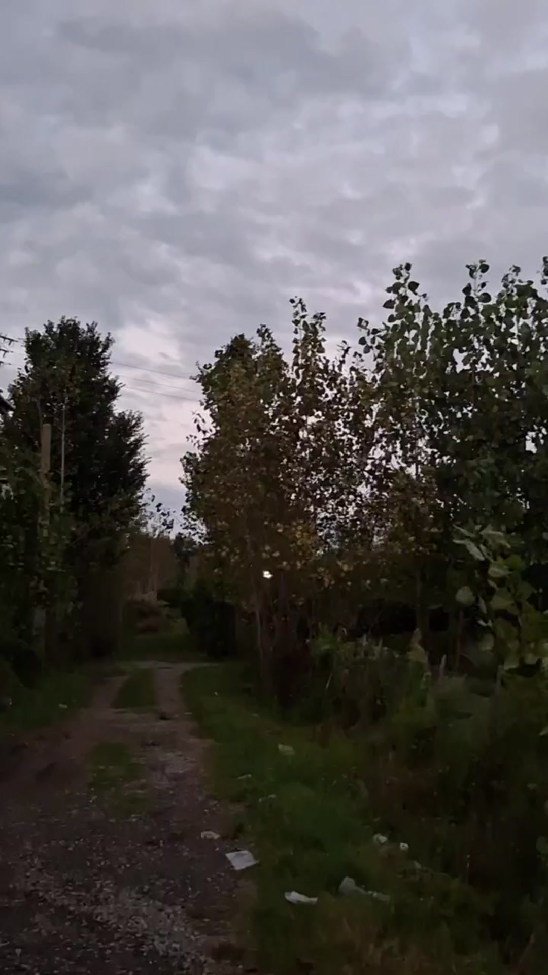 فروش زمین 1970 متر در حسن سرا رودسر