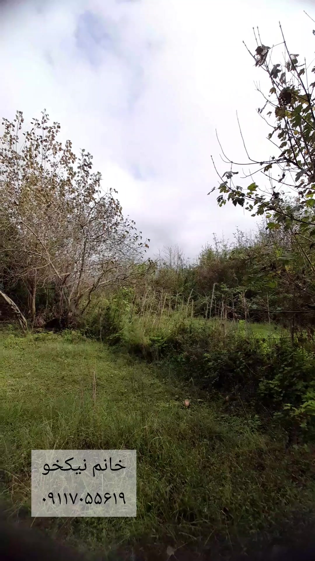 ویلا 3,000 متری گیلان رشت کوچصفهان در شیپور