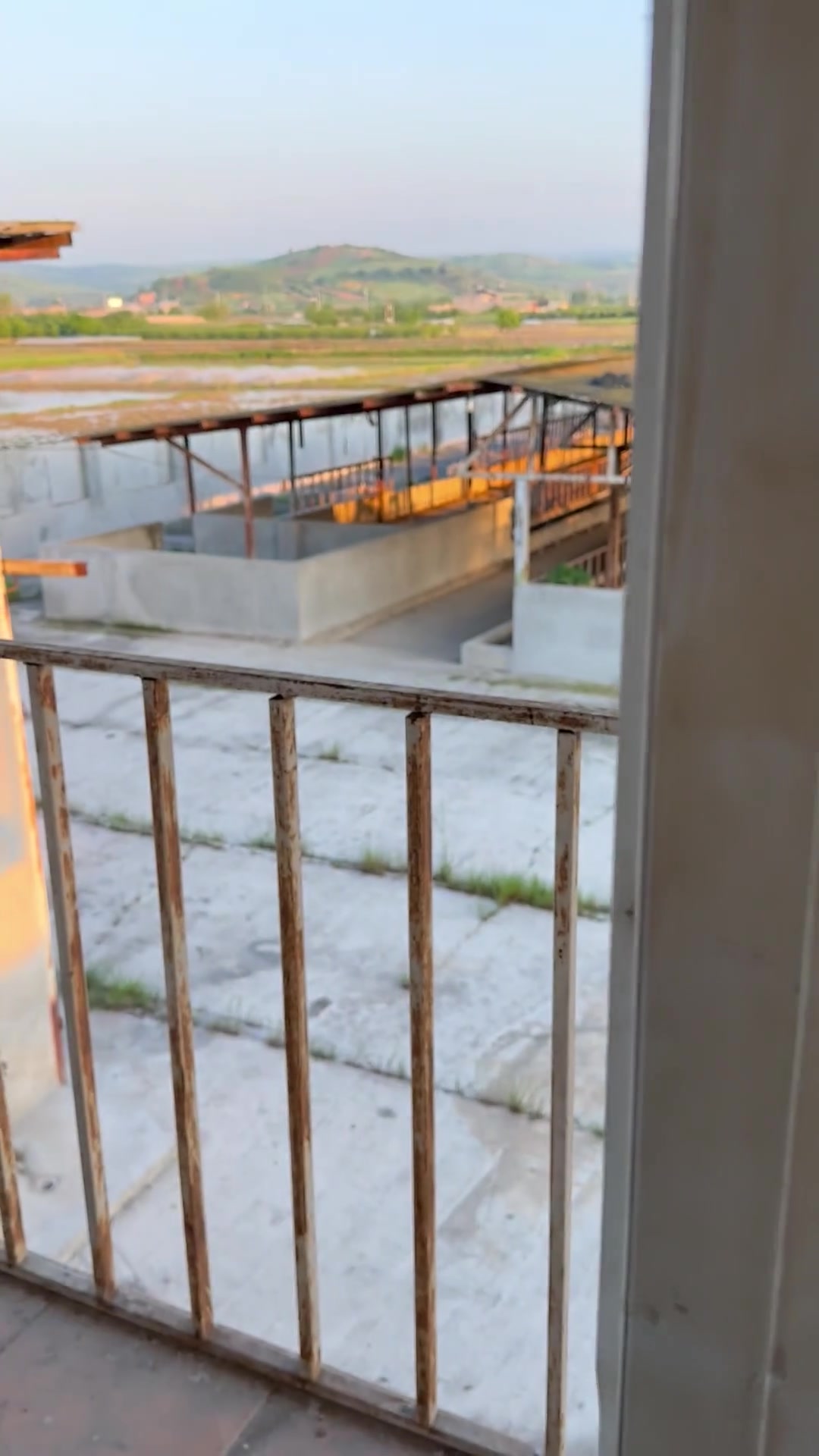 2300متر گاوداری با بهترین امکانات در شیپور