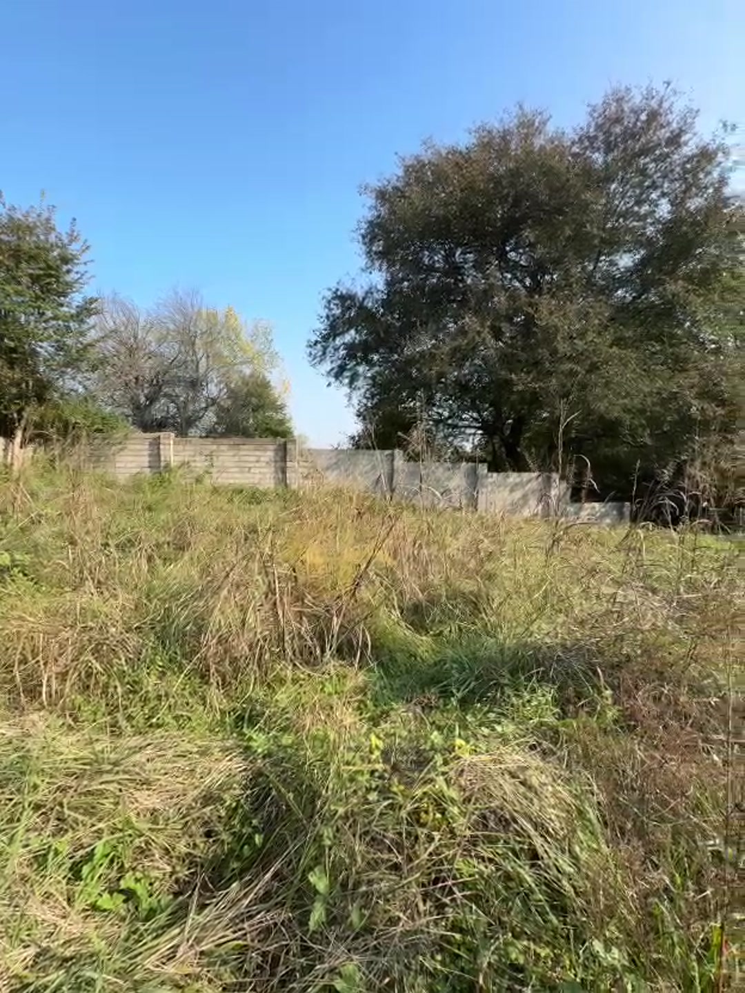 فروش زمین مسکونی 250 متر در نعمت آباد