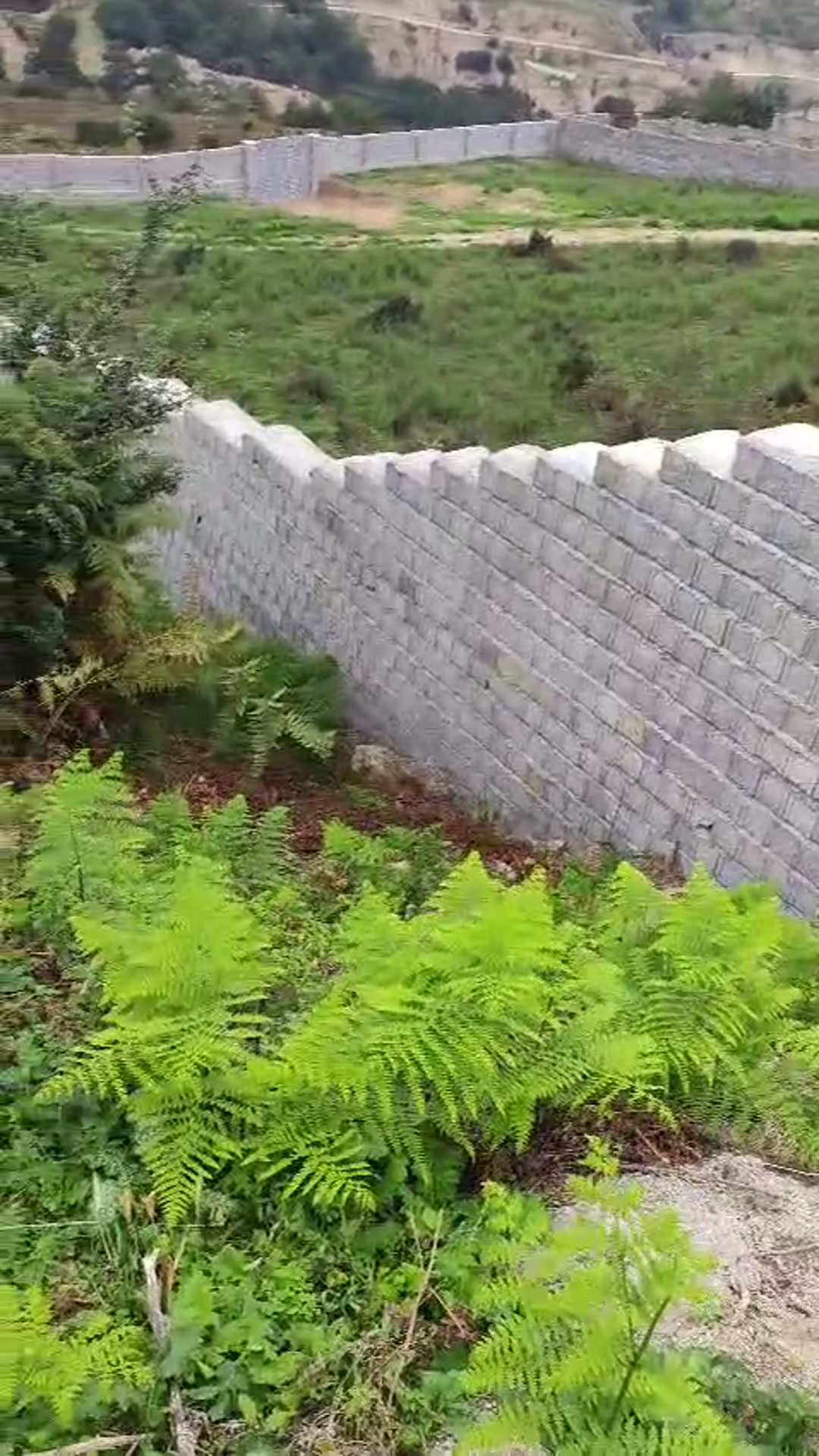 فروش زمین مسکونی 460 متر در چلاو در شیپور