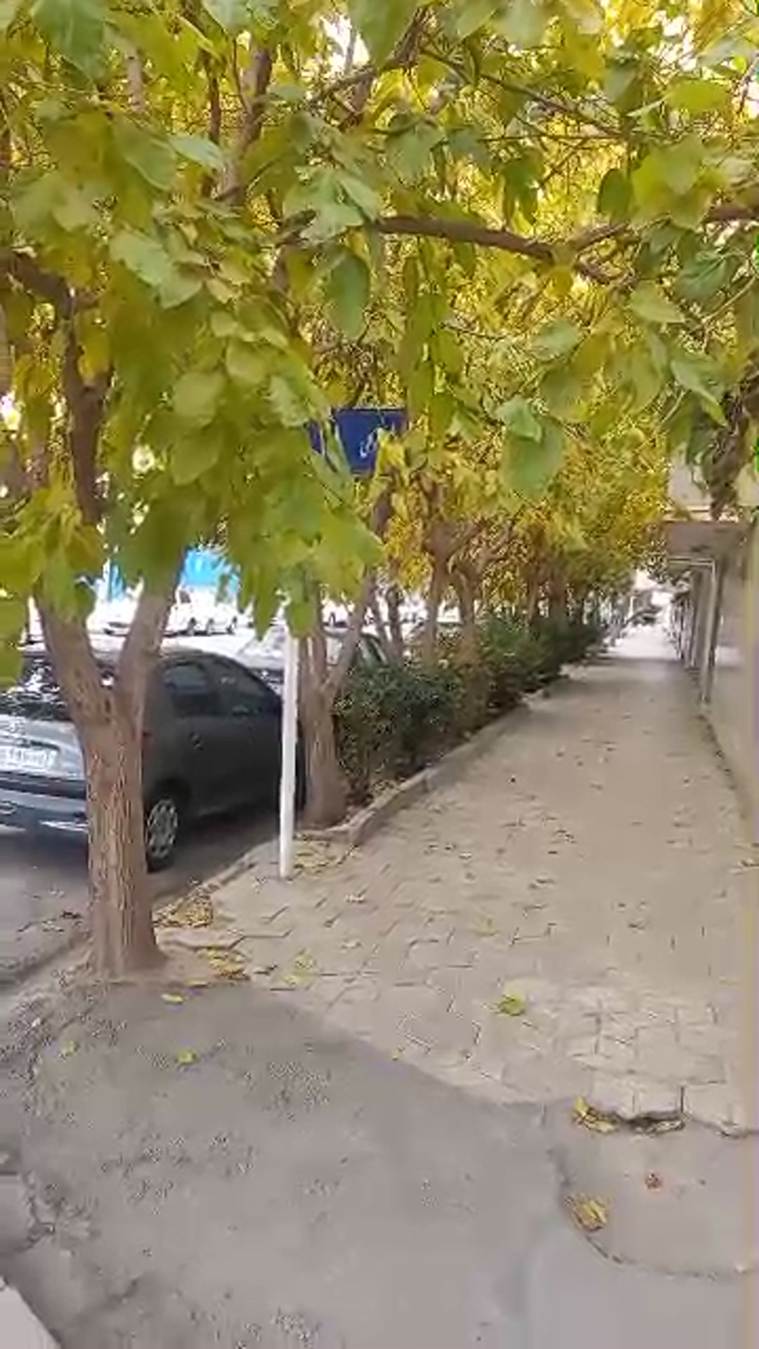 فروش زمین تجاری در جانباز 2 نبش توکلی18