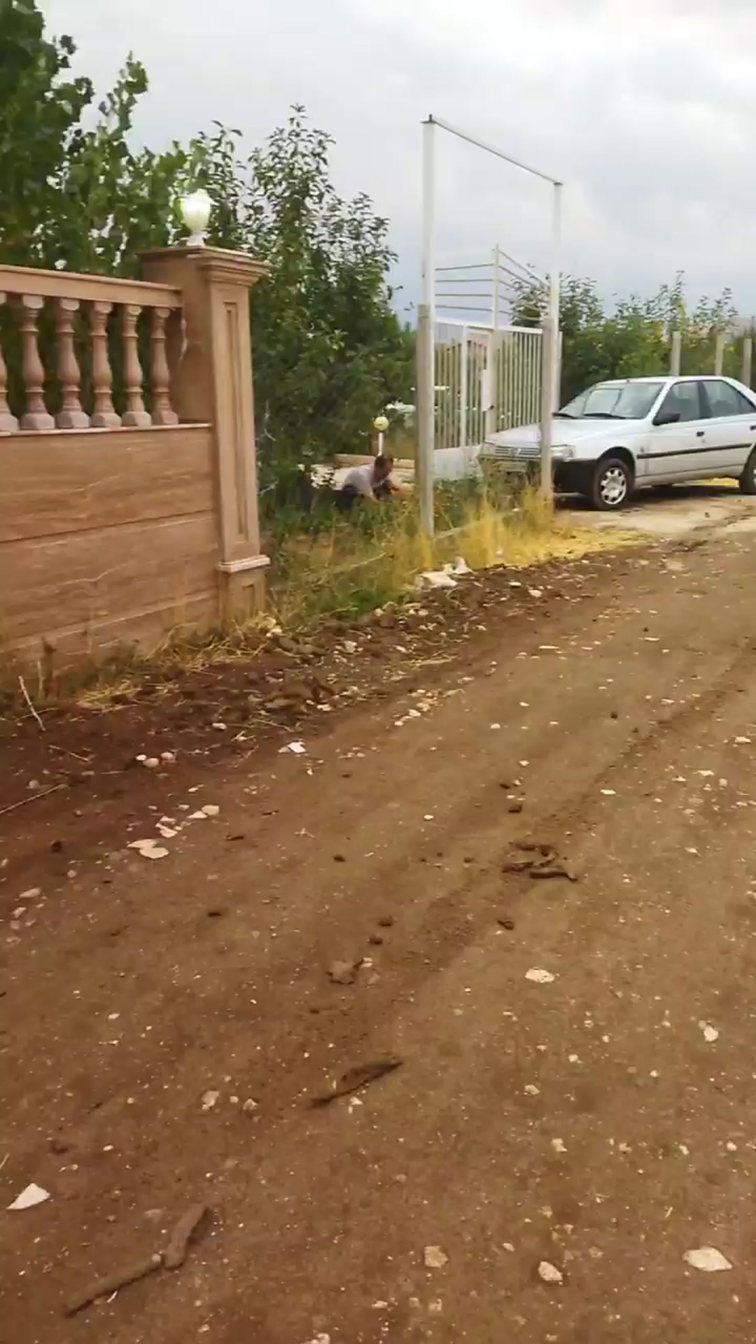 زمین کشاورزی 1140 متر در بوکان